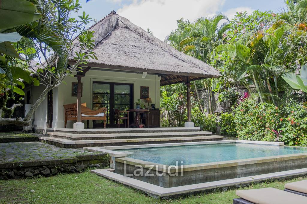 Monthly and Yearly Rental 2 Bedroom Villa short drive from Buzzling Canggu