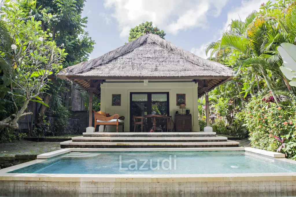 Monthly and Yearly Rental 2 Bedroom Villa short drive from Buzzling Canggu
