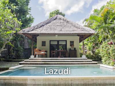 Monthly and Yearly Rental 2 Bedroom Villa short drive from Buzzling Canggu