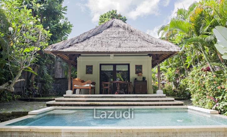 Monthly and Yearly Rental 2 Bedroom Villa short drive from Buzzling Canggu