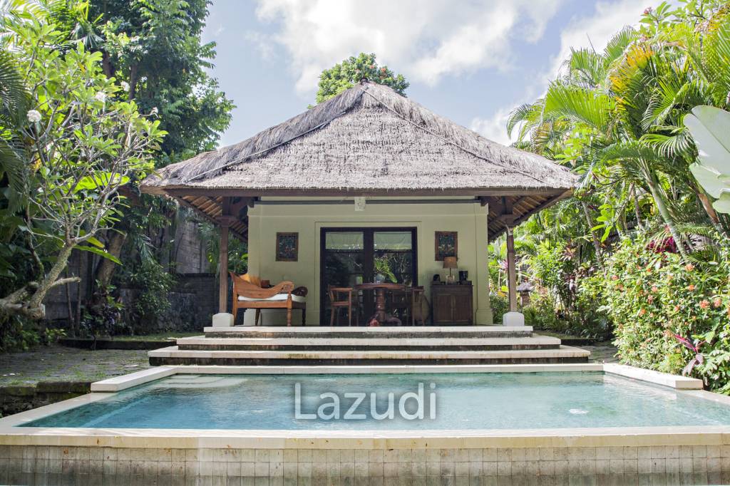 Monthly and Yearly Rental 2 Bedroom Villa short drive from Buzzling Canggu