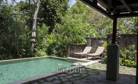 Monthly and Yearly Rental 2 Bedroom Villa short drive from Buzzling Canggu