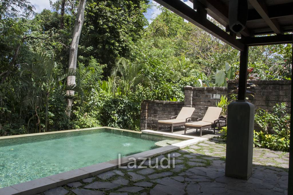 Monthly and Yearly Rental 2 Bedroom Villa short drive from Buzzling Canggu