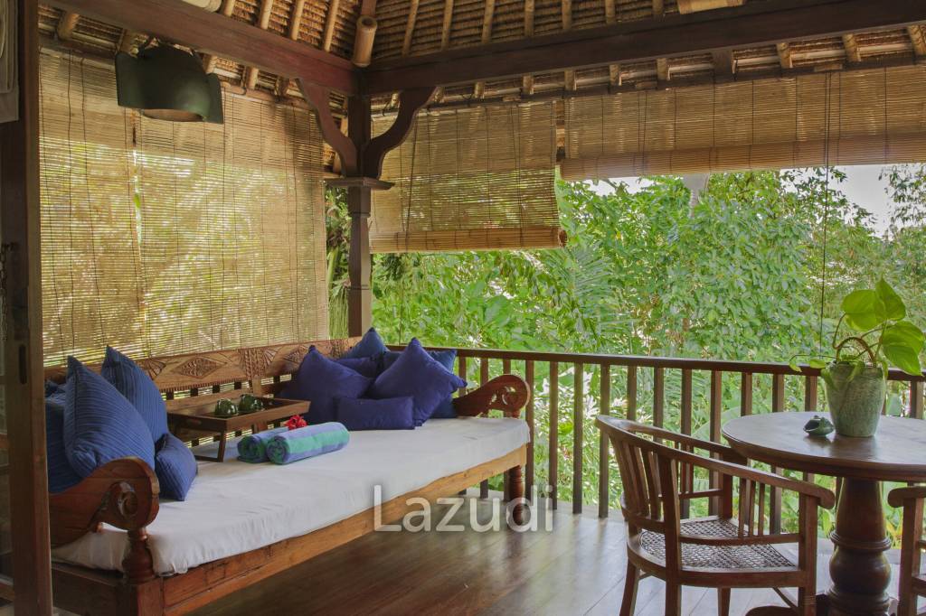 Monthly and Yearly Rental 2 Bedroom Villa short drive from Buzzling Canggu