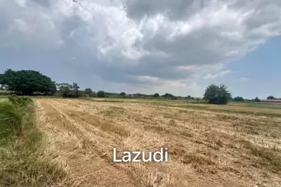 15 Rai 33 SQ. Wah Land for Sale in Si Racha