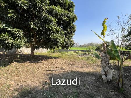 1 Rai Land for Sale With Mountain View in Wiang Chai