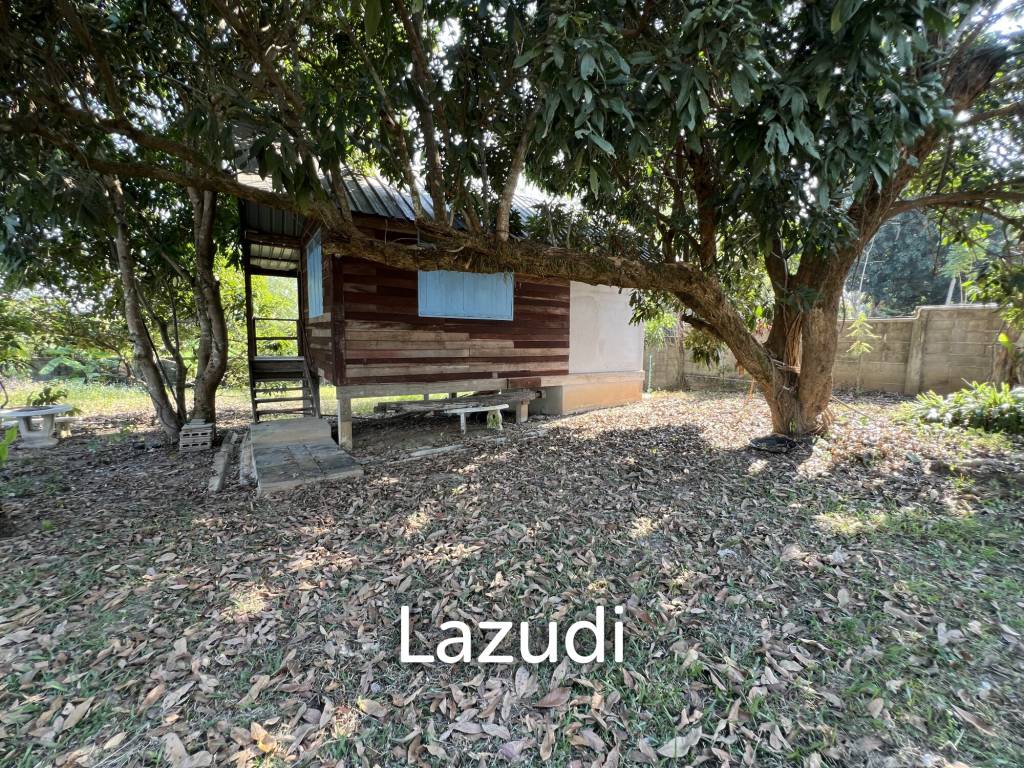 1 Rai Land for Sale With Mountain View in Wiang Chai