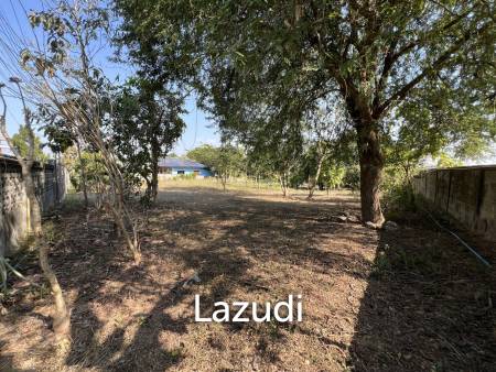 1 Rai Land for Sale With Mountain View in Wiang Chai
