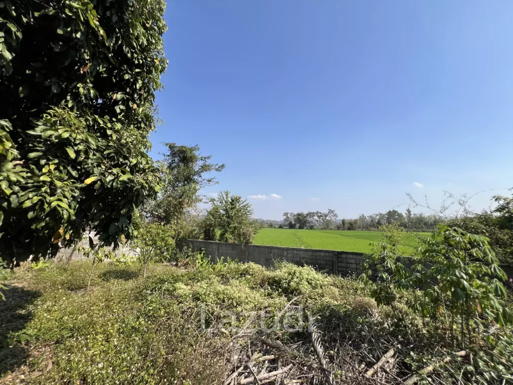 1 Rai Land for Sale With Mountain View in Wiang Chai