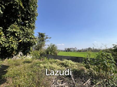 1 Rai Land for Sale With Mountain View in Wiang Chai