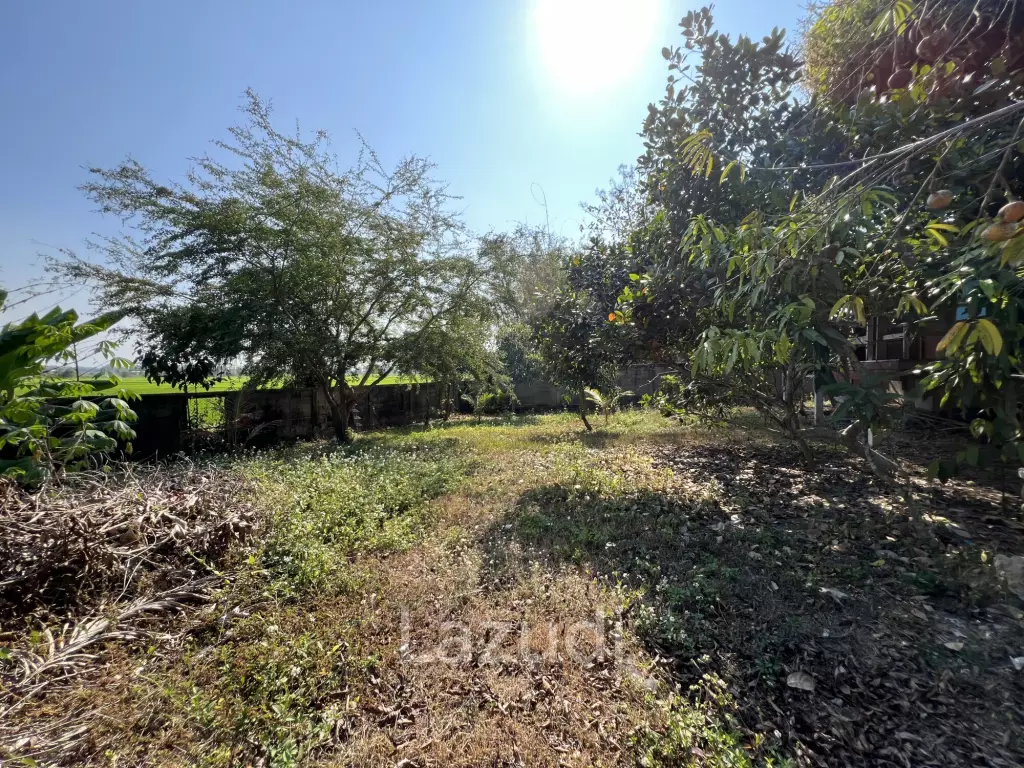 1 Rai Land for Sale With Mountain View in Wiang Chai