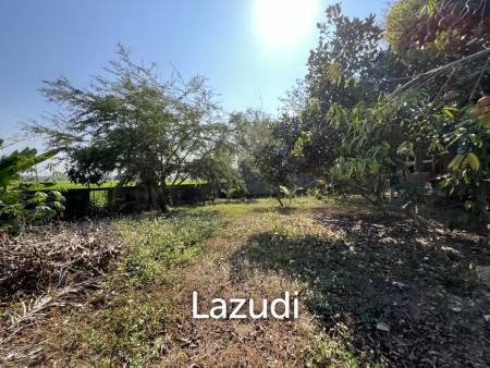 1 Rai Land for Sale With Mountain View in Wiang Chai