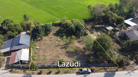 1 Rai Land for Sale With Mountain View in Wiang Chai