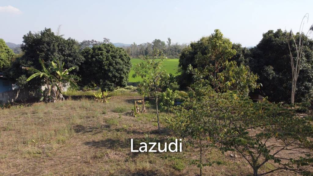 1 Rai Land for Sale With Mountain View in Wiang Chai