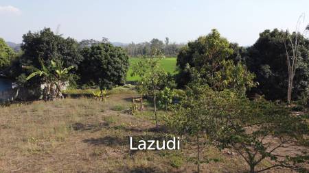 1 Rai Land for Sale With Mountain View in Wiang Chai