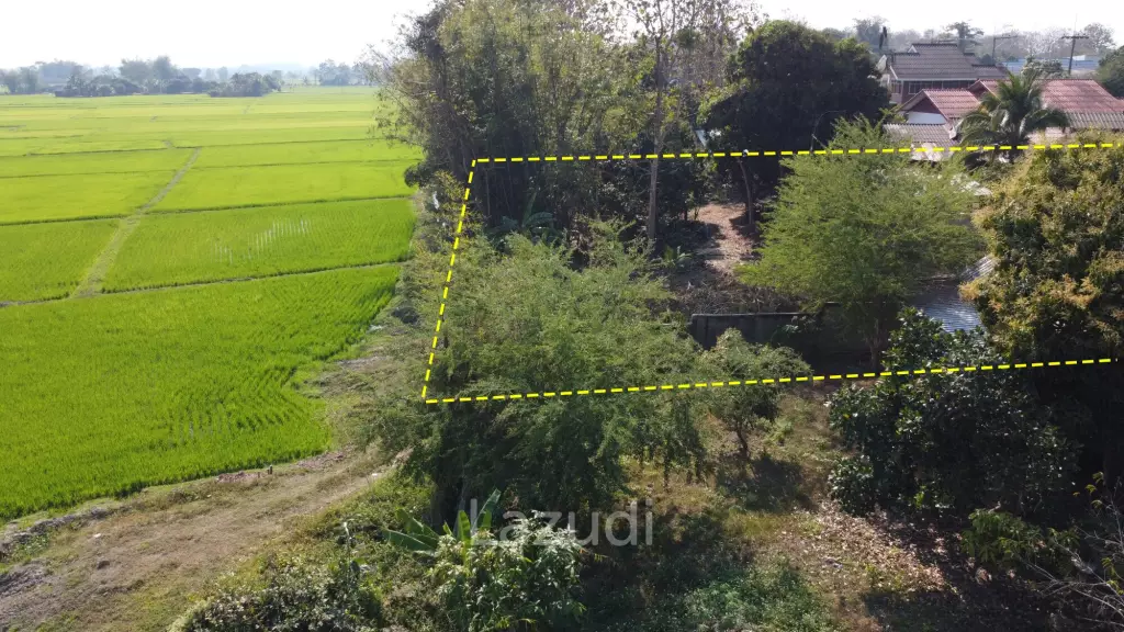 1 Rai Land for Sale With Mountain View in Wiang Chai