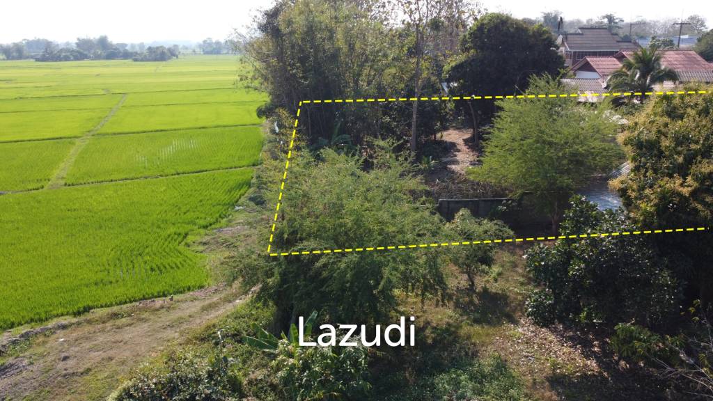 1 Rai Land for Sale With Mountain View in Wiang Chai