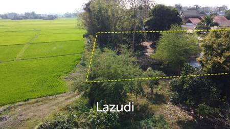 1 Rai Land for Sale With Mountain View in Wiang Chai