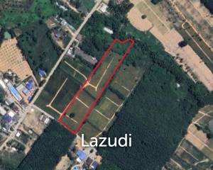 13 Rai 30 SQ. Wah Land in Khao Khansong