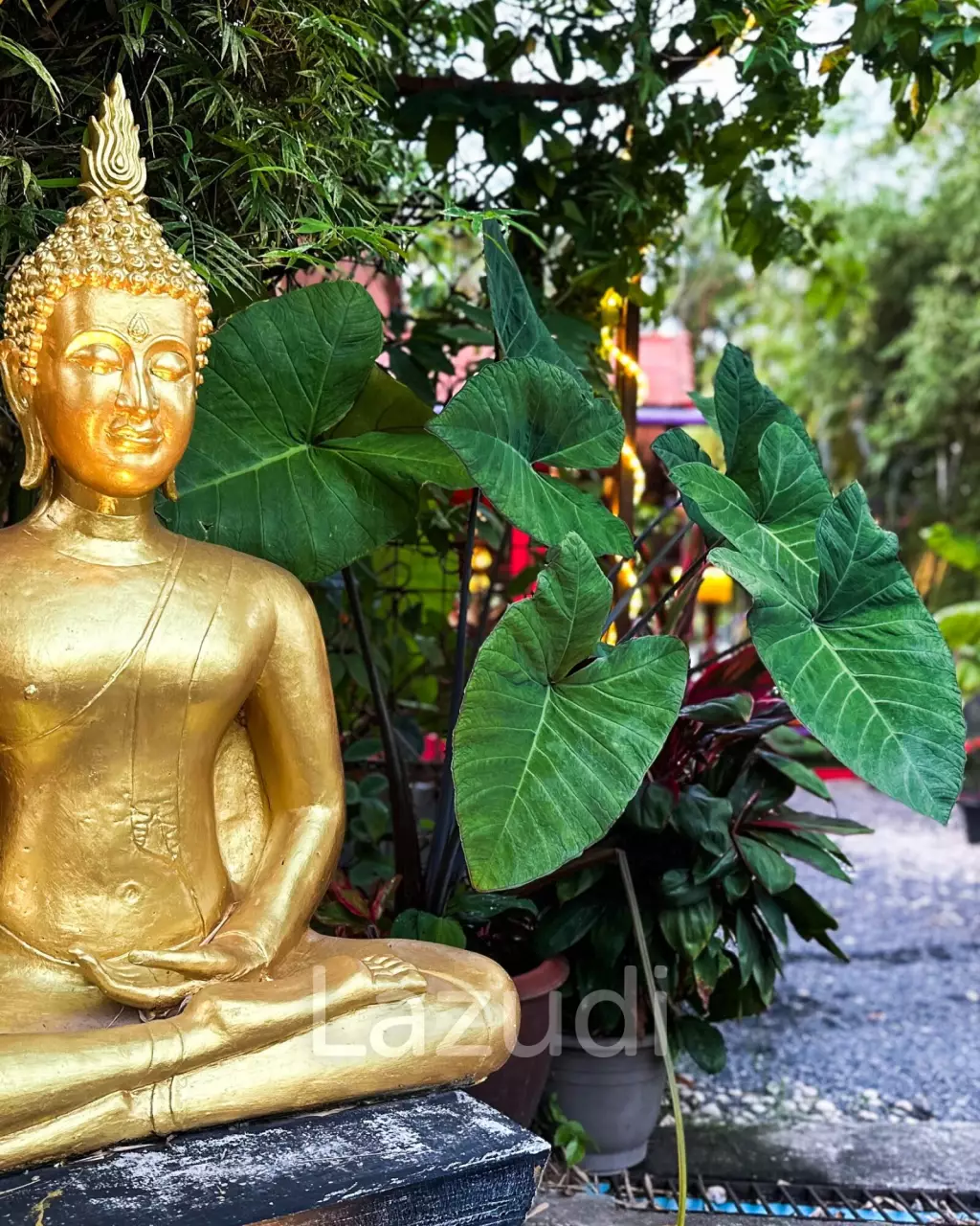 7 years contratct renewable for A Culinary Gem on Koh Samui
