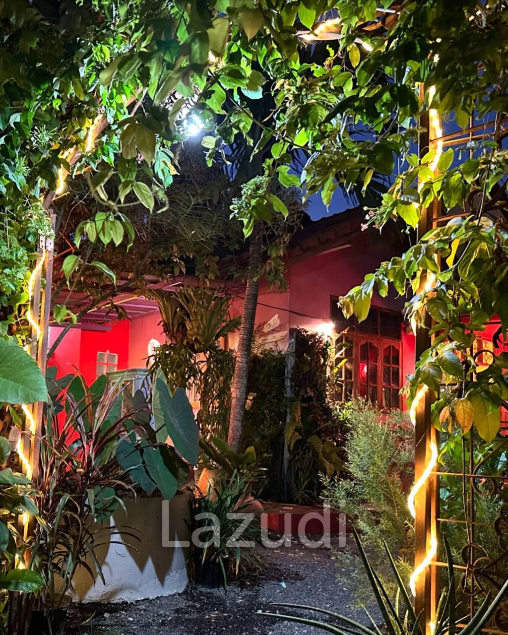 La Petite Provence: A Culinary Gem on Koh Samui