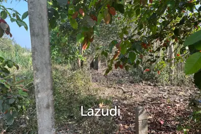ขายที่ดิน 1 ไร่ในหมู่บ้านสันต้นปุย ห้วยไคร้ แม่สาย ที่ตั้งอันเงียบสงบและมีทัศนียภาพ