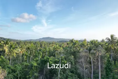 Prime Land for Sale with Building Permit in Ko Phangan – 1,000 sqm