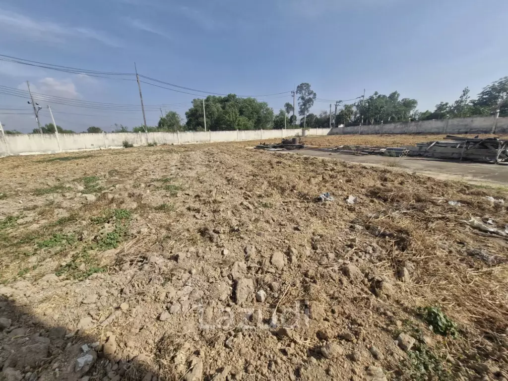 3 Rai 45 SQ.Wah Land Near Phoenix Golf Course