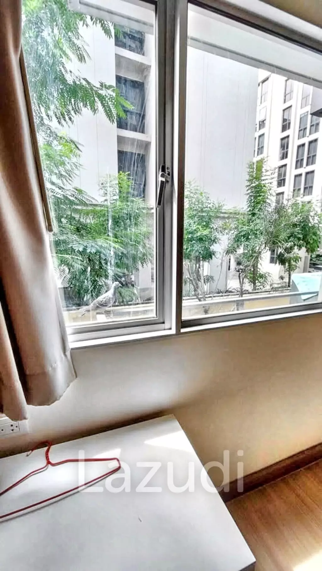 1 Bed 1 Bath 35 SQ.M My Condo Sukhumvit 81