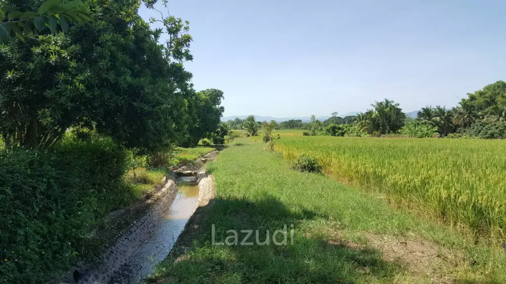 Beautiful Teak Wooden House with 1 Rai Land Near Mae Taeng