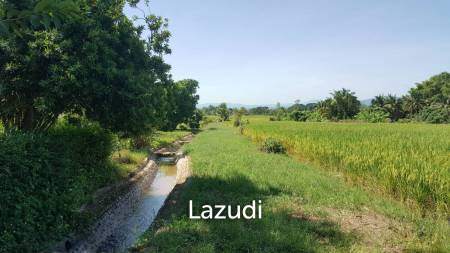 Beautiful Teak Wooden House with 1 Rai Land Near Mae Taeng