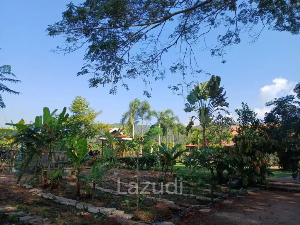 Beautiful Teak Wooden House with 1 Rai Land Near Mae Taeng