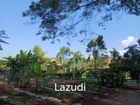 Beautiful Teak Wooden House with 1 Rai Land Near Mae Taeng