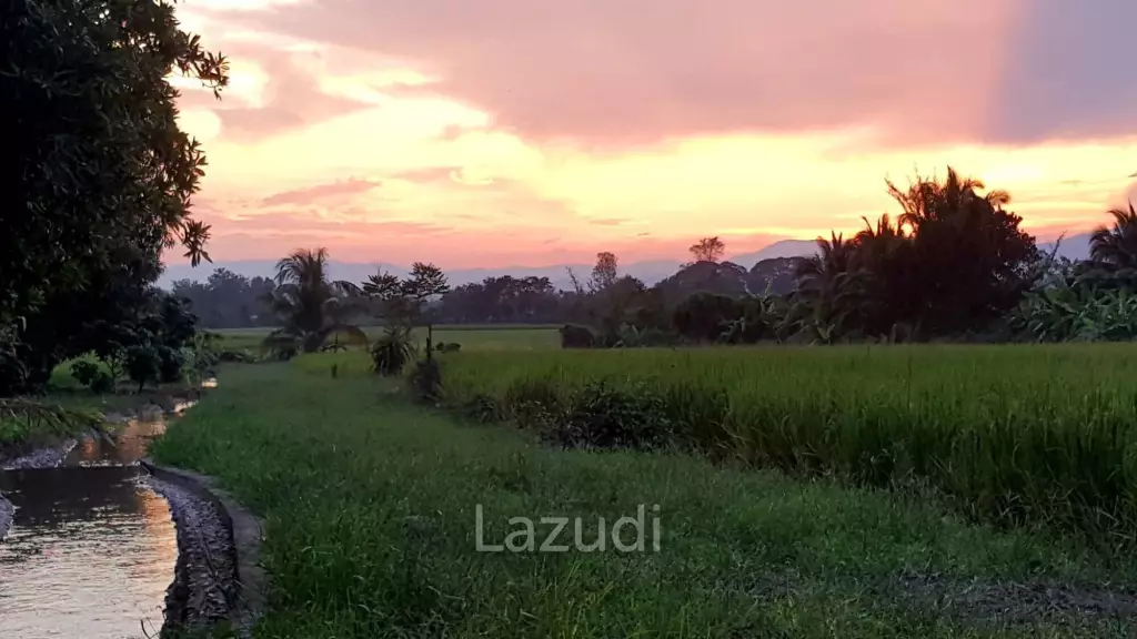 Beautiful Teak Wooden House with 1 Rai Land Near Mae Taeng