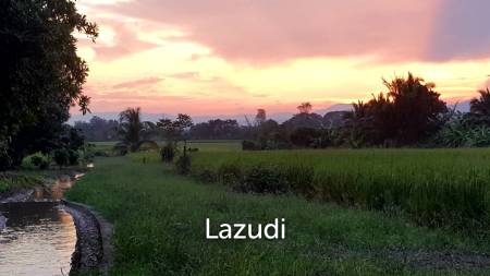 Beautiful Teak Wooden House with 1 Rai Land Near Mae Taeng