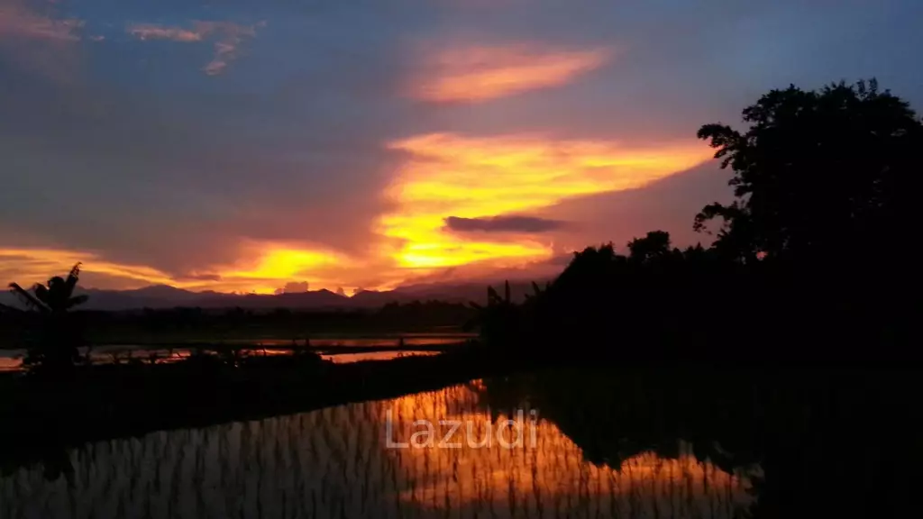 Beautiful Teak Wooden House with 1 Rai Land Near Mae Taeng
