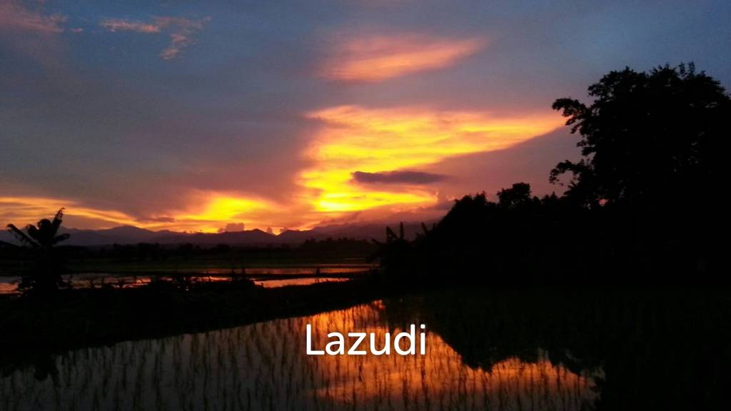 Beautiful Teak Wooden House with 1 Rai Land Near Mae Taeng