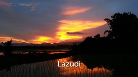Beautiful Teak Wooden House with 1 Rai Land Near Mae Taeng