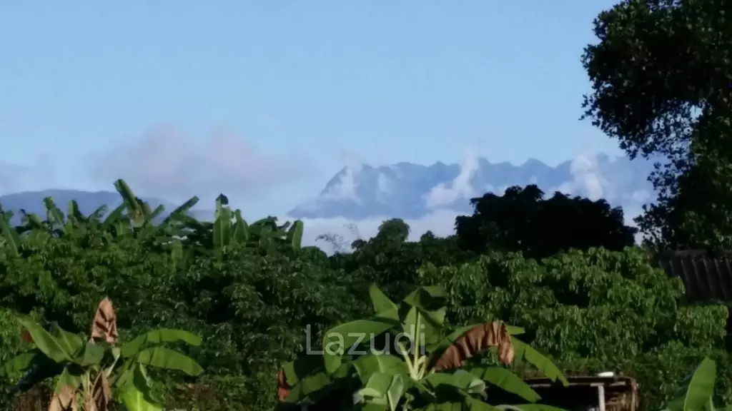 Beautiful Teak Wooden House with 1 Rai Land Near Mae Taeng