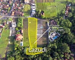 Exclusive Leasehold 4200 sqm Land in Buwit, Tabanan – Perfect for Luxury Villas or Boutique Development
