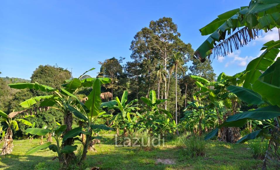 Prime Land for Sale in Mae Nam, Ko Samui – 1,984 sqm