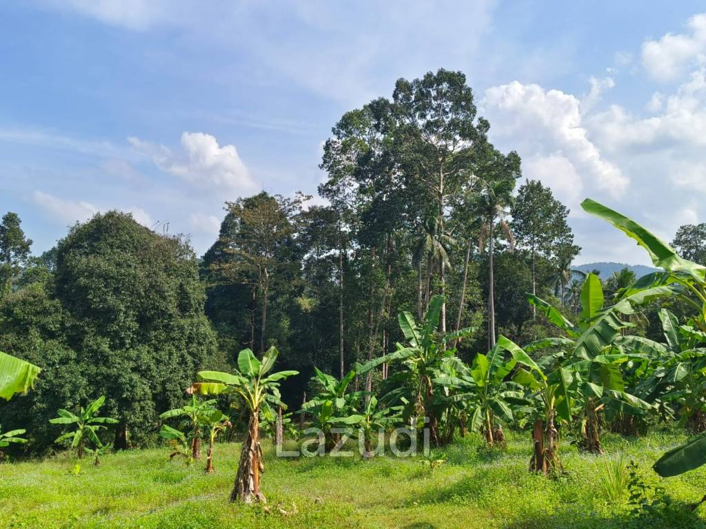 Prime Land for Sale in Mae Nam, Ko Samui – 1,984 sqm