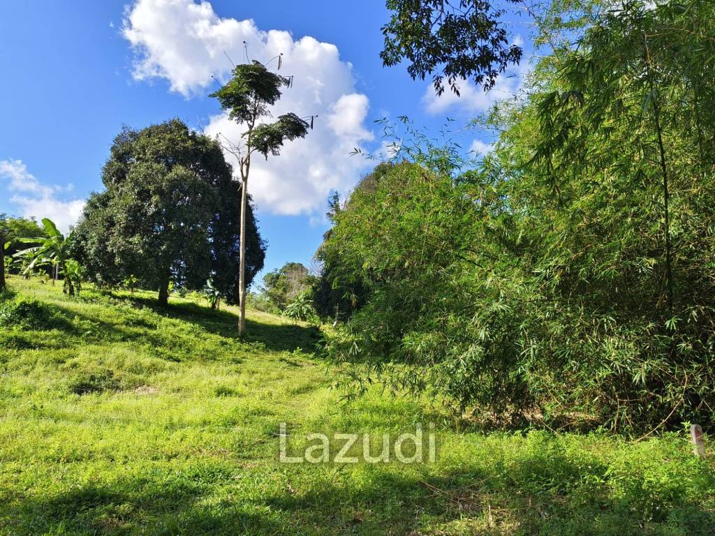 Prime Land for Sale in Mae Nam, Ko Samui – 1,984 sqm