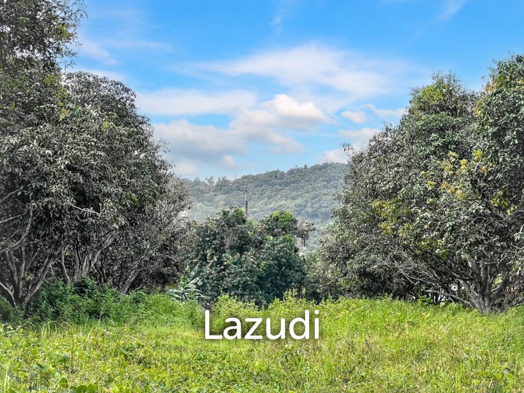 Prime Flat Land for Sale in Bo Phut – 3,905.6 sqm