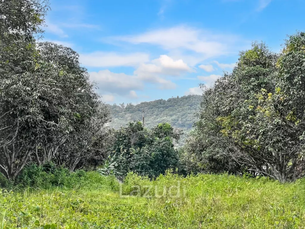 Prime Flat Land for Sale in Bo Phut – 3,905.6 sqm