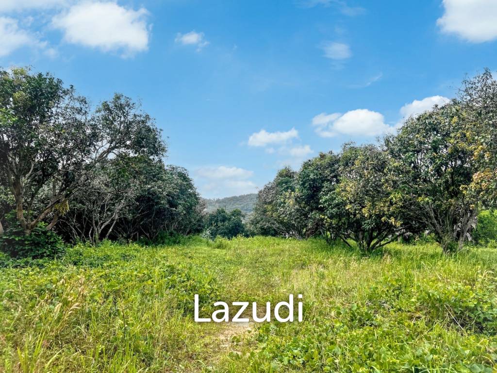 Prime Flat Land for Sale in Bo Phut – 3,905.6 sqm