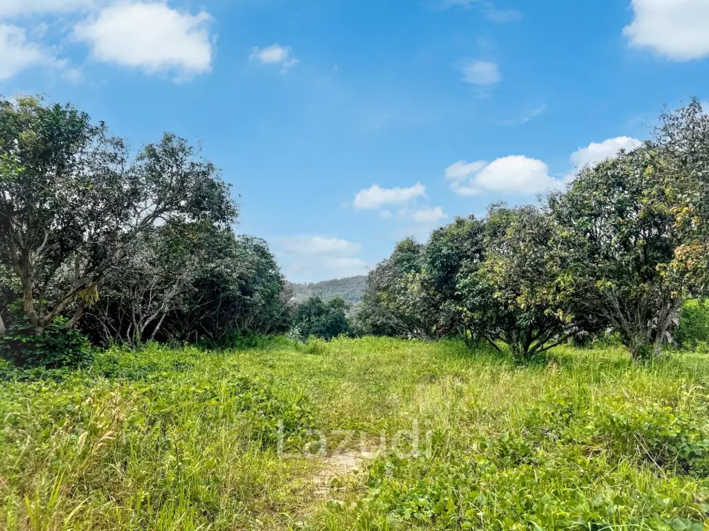 Prime Flat Land for Sale in Bo Phut – 3,905.6 sqm