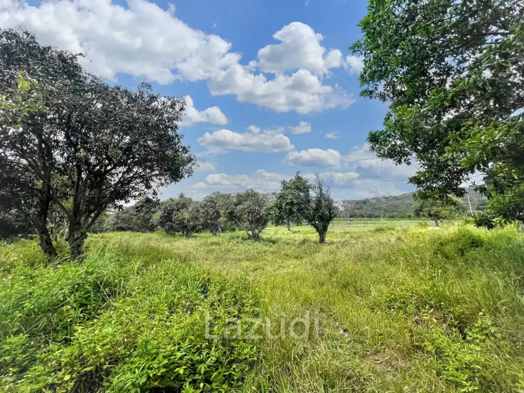 Prime Flat Land for Sale in Bo Phut – 3,905.6 sqm