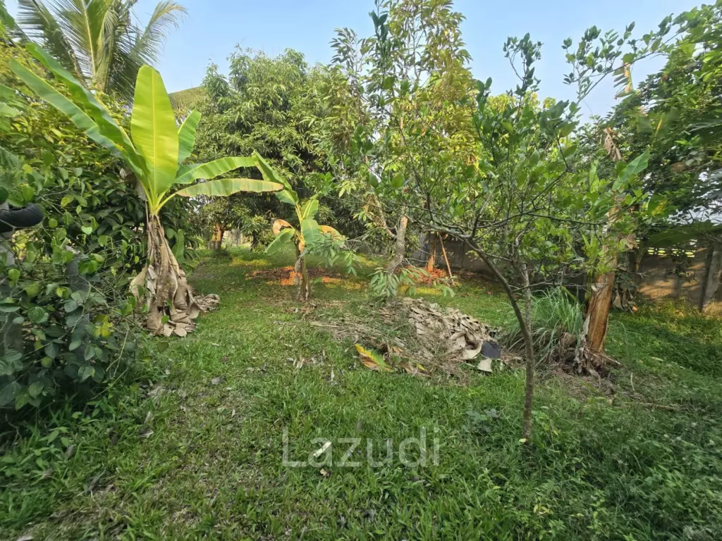 2 bed 2 bath house with fruit garden for sale