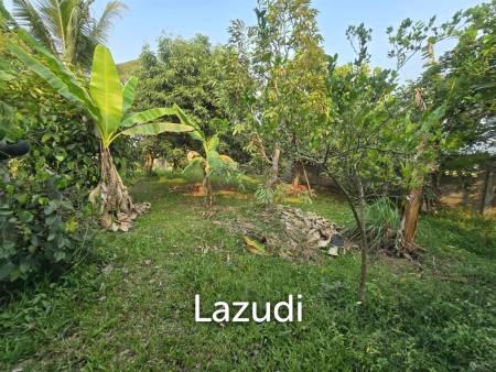 2 bed 2 bath house with fruit garden for sale